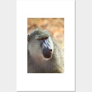 Yellow Baboon Portrait Posters and Art